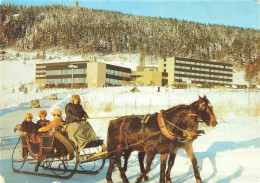 Delcampe - Pferdeschlitten Oberwiesenthal Erzgeb. Jugendtourstenhotel - Sonstige & Ohne Zuordnung