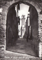Delcampe - # TORRITA DI SIENA: VIA D. ALIGHIERI 1972 - Siena