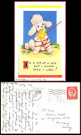 Delcampe - MABEL LUCIE ATTWELL 1954 Old Old Postcard Poodle Dog Puppy, Know Who I Like 6027 - Non Classés