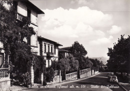 Delcampe - # RADDA IN CHIANTI: VIALE XI FEBBRAIO 1968 - Siena