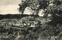 Delcampe - BAD ORB Hessen Philosophenweg Waelder Wiesen Ortsansicht - Bad Orb