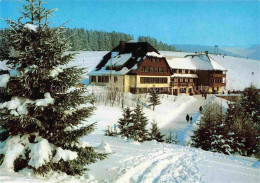Delcampe - Todtnauberg Schwarzwald BW Jugendherberge Fleinerhaus - Todtnau