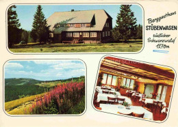 Delcampe - Todtnauberg Schwarzwald BW Berggasthaus Stuebenwasen Gastraum Panorama - Todtnau