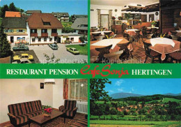 Delcampe - Hertingen Bad Bellingen Restaurant Pension Cafe Sonja Gastraeume Panorama - Bad Bellingen
