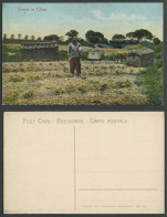 Delcampe - China Old Colour Postcard Shanghai Chinese Christian Graves With Cross, Chinaman - China