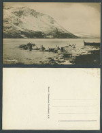 Delcampe - Norway Old Real Photo Postcard Reindeer Animals Crossing River Lake Renfloetning - Non Classés