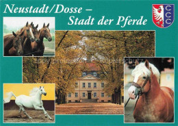 Delcampe - Neustadt Dosse Brandenburg Haupt-und-Landgestuet Pferde Schimmel Fuchspferd Herb - Neustadt (Dosse)