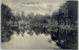 Delcampe - Bad Lippspringe Waldsee - Bad Lippspringe