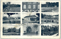 Delcampe - Bad Lippspringe Arminiusquelle Kaiser Karls Park - Bad Lippspringe