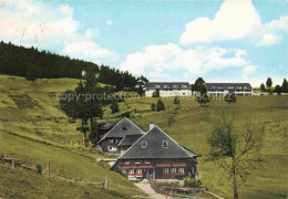 Delcampe - Todtnauberg Schwarzwald BW Familienheim Tannenhof - Todtnau