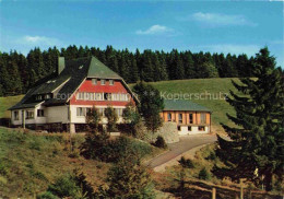 Delcampe - Todtnauberg Schwarzwald BW Jugendherberge Fleinerhaus - Todtnau