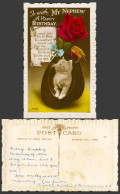 Delcampe - Cat Kitten In A Hat Robin Bird Rose Flower My Nephew Happy Birthday Old Postcard - Katten