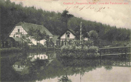 Delcampe - Eisenberg  Thueringen Gasthof Naupolds Muehle Von Teichinsel Aus Gesehen - Eisenberg