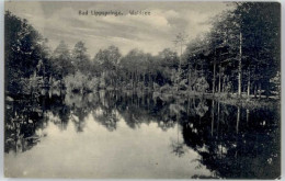 Delcampe - Bad Lippspringe Waldsee - Bad Lippspringe