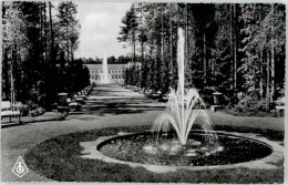 Delcampe - Bad Lippspringe Kaiser Karls Park - Bad Lippspringe