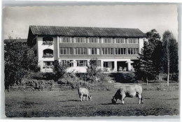 Delcampe - Fischen Allgaeu Aus Elisabeth - Fischen