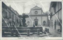 Delcampe - Bg258 Cartolina Tuscania  Piazza Vittorio Emanuele Efontana Provincia Di Viterbo - Viterbo