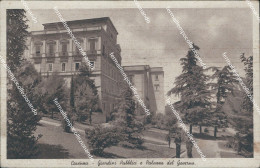Delcampe - Bg285 Cartolina Cosenza Citta' Giardini Pubblici E Palazzo Del Governo - Cosenza