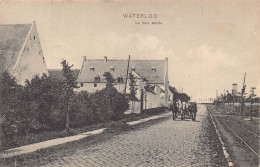 Delcampe - A874 Belgium Waterloo Haie Sainte Carriage Vintage Postcard - Waterloo