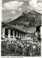 Delcampe - OBERSTDORF Bayern Wandelhalle Kurplatz - Oberstdorf