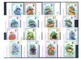 Delcampe - Montserrat. Definitiva. Fauna. Pesci 1981. - Montserrat