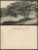 Delcampe - Ceylon Old Postcard Kandy Lake The Mountain Capital Small Island Little Girl 101 - Sri Lanka (Ceylon)