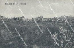 Delcampe - Bg375 Cartolina Acquaviva Panorama 1934 Provincia Di Siena - Siena