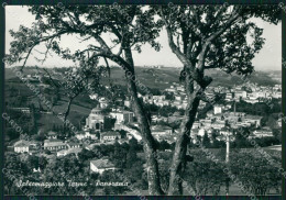 Delcampe - Parma Salsomaggiore FG Foto Cartolina HB4875 - Parma