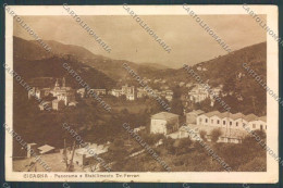 Delcampe - Genova Cicagna PIEGA Cartolina ZT4997 - Genova (Genua)