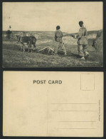 Delcampe - China North Old Postcard Farmers Donkeys Farming Plough - China