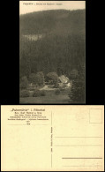 Delcampe - Kipsdorf-Altenberg (Erzgebirge) Blick Auf Die Putzmühle Pöbeltal 1927 - Kipsdorf