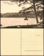 Delcampe - Ansichtskarte Schmannewitz-Dahlen Am Waldteich Sommerfrische 1920 - Dahlen