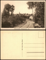 Delcampe - Ansichtskarte Schmannewitz-Dahlen Weg Zur Stadt 1920 - Dahlen