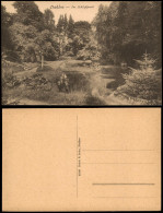 Delcampe - Ansichtskarte Dahlen Anlagen Im Schlosspark 1920 - Dahlen