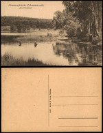 Delcampe - Ansichtskarte Schmannewitz-Dahlen Am Waldteich Badende 1920 - Dahlen