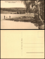 Delcampe - Ansichtskarte Schmannewitz-Dahlen Partie Am Waldbad 1920 - Dahlen