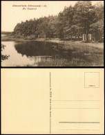 Delcampe - Ansichtskarte Schmannewitz-Dahlen Am Badeteich 1920 - Dahlen