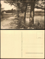 Delcampe - Ansichtskarte Schmannewitz-Dahlen Partie Am Alten Teich 1917 - Dahlen