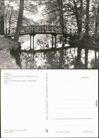 Delcampe - Ansichtskarte Branitz-Cottbus Branitzer Park: Brücke Am Pyramidenteich 1979 - Cottbus