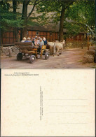 Delcampe - Ansichtskarte .Niedersachsen Kutschen-Fahrt Pferde Lüneburger Heide 1980 - Lüneburger Heide