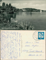 Delcampe - Ansichtskarte Iserlohn Sellesee - Schwäne 1964 - Iserlohn