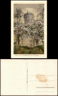 Delcampe - Ansichtskarte Collm-Wermsdorf Collmberg Restaurant Baumblüte 1926 - Wermsdorf