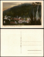 Delcampe - Ansichtskarte Collm-Wermsdorf Collmberg Stadt Baumblüte 1928 - Wermsdorf
