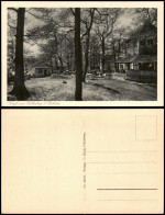 Delcampe - Ansichtskarte Collm-Wermsdorf Collmberg Restauration 1928 - Wermsdorf