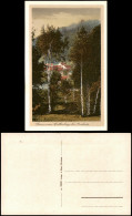 Delcampe - Ansichtskarte Collm-Wermsdorf Collmberg Birken 1928 - Wermsdorf