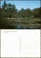 Delcampe - Ansichtskarte Sahlenburg-Cuxhaven Am Finkenmoor 1984 - Cuxhaven