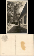 Delcampe - Ansichtskarte Collm-Wermsdorf Collmberg, Turm, Restaurant 1930 - Wermsdorf