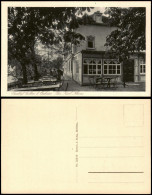 Delcampe - Ansichtskarte Collm-Wermsdorf Gastwirtschaft 1926  B. Oschatz - Wermsdorf