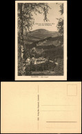 Delcampe - Lauenstein (Erzgebirge)-Altenberg (Erzgebirge) Liebenauer Höhe 1924 - Lauenstein
