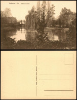 Delcampe - Ansichtskarte Geithain Partie Am Schwanenteich 1925 - Geithain
